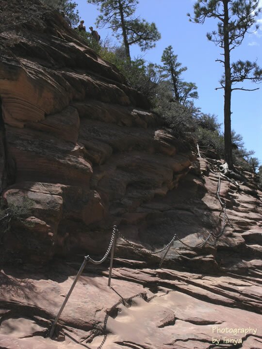 Angels Landing photo
