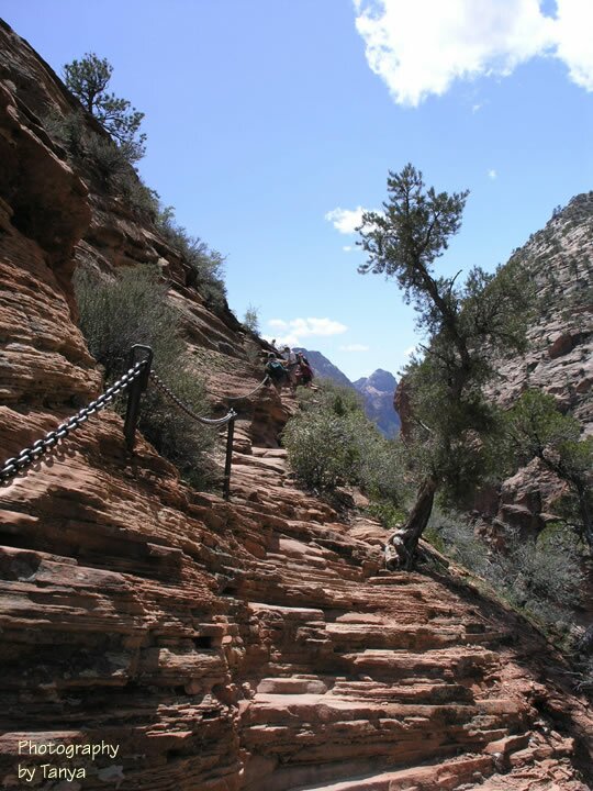 Angels Landing photo