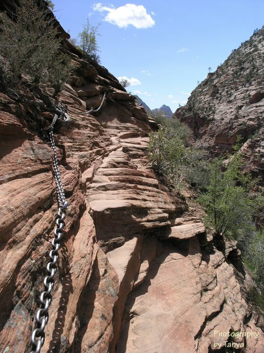 Angels Landing photo
