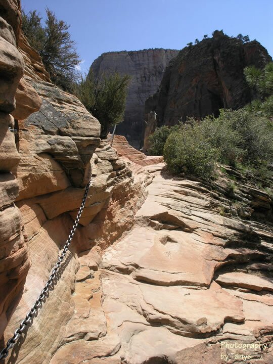 Angels Landing photo
