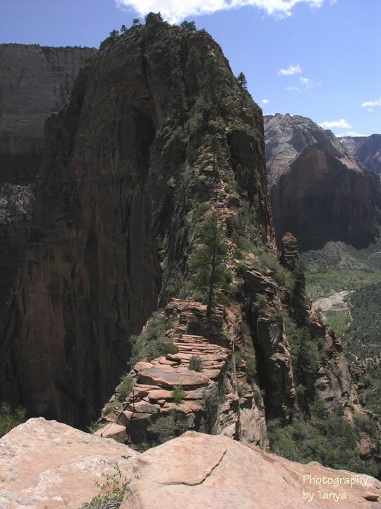 Angels Landing photo