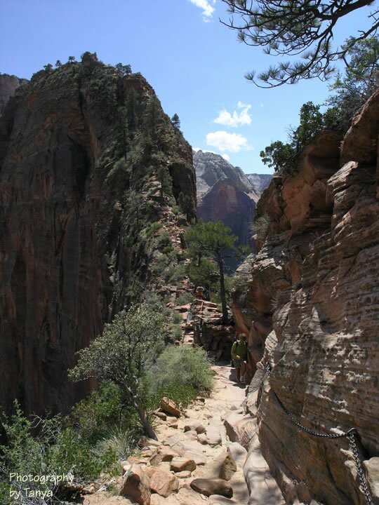 Angels Landing photo