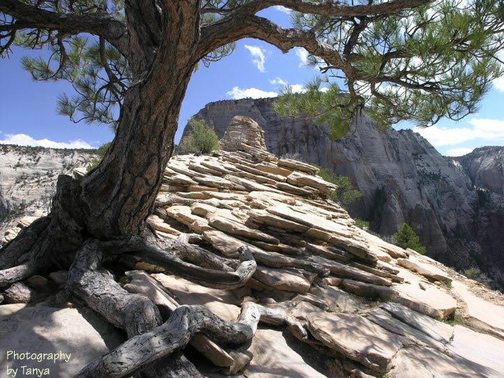 Angels Landing photo