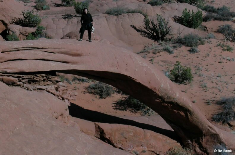 Cobra Arch picture