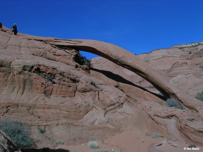 Pic Cobra Arch