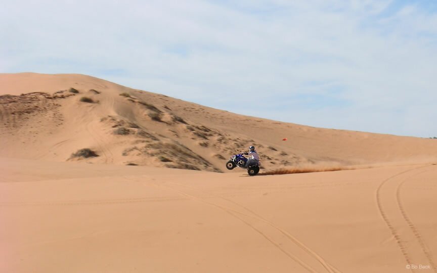 Picture Coral Pink Sand Dunes