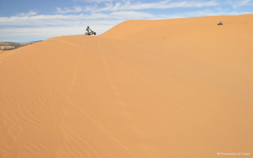 Sand Dunes Pictures