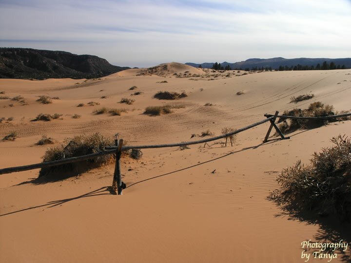 Coral Pink Sand Dunes Photo
