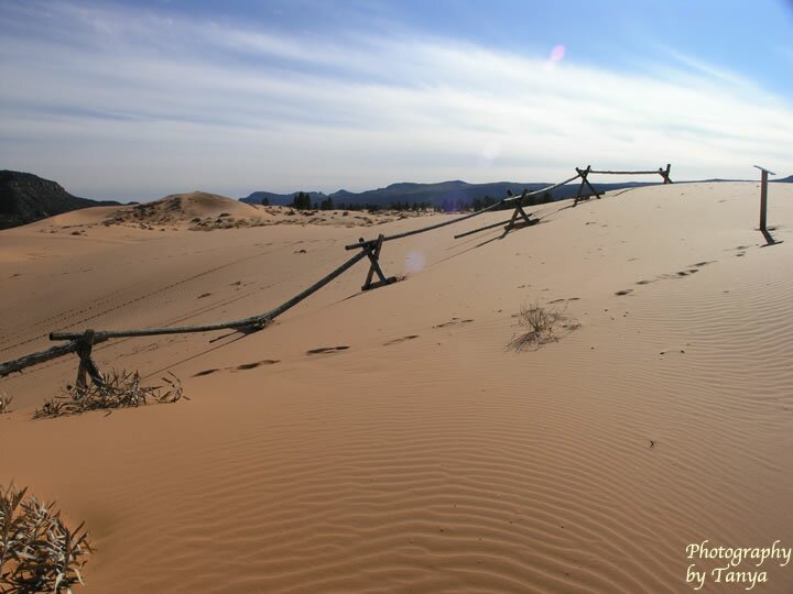 Coral Pink Sand Dunes Photo