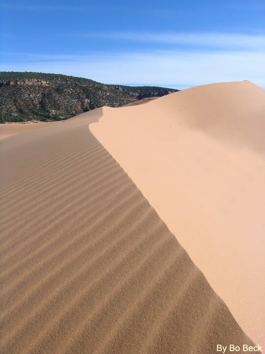 Coral Pink Sand Dunes Photo