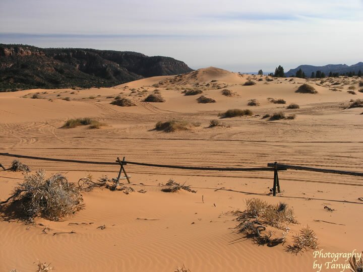 Coral Pink Sand Dunes Photo
