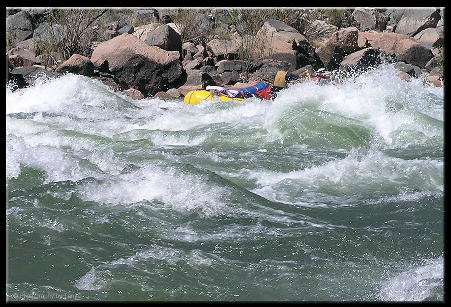 Rapid Colorado River Grand Canyon