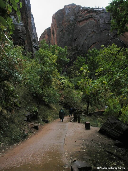 Zion Photo: Riverside Walk