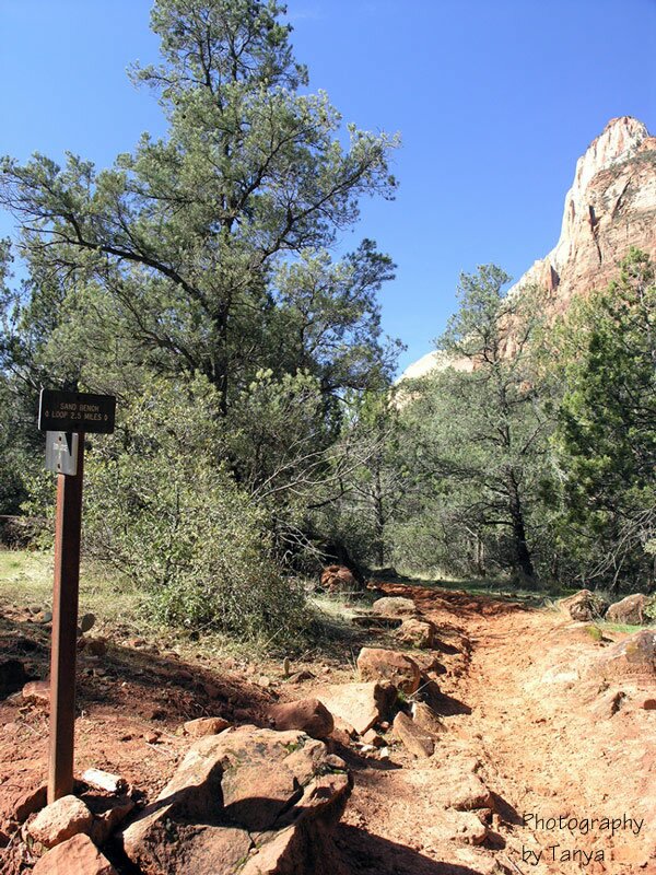 Zion's Sand Bench photo