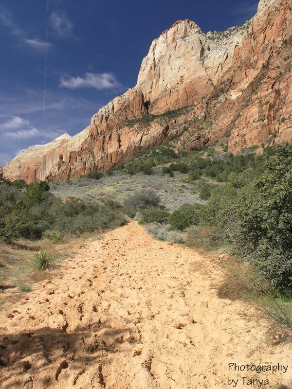 Zion's Sand Bench photo