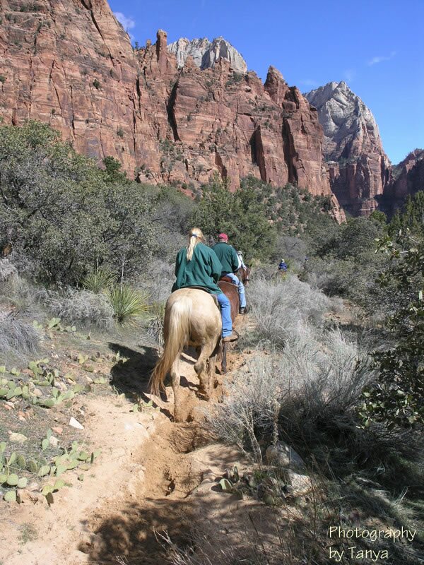 Zion's Sand Bench photo