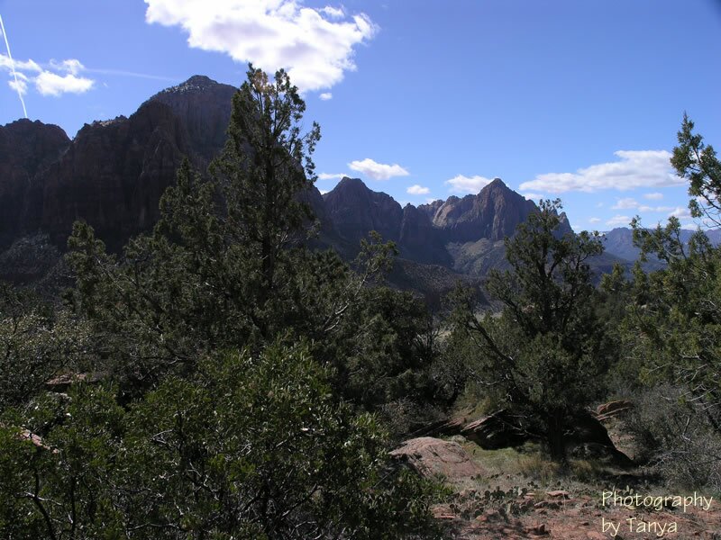 Zion's Sand Bench photo