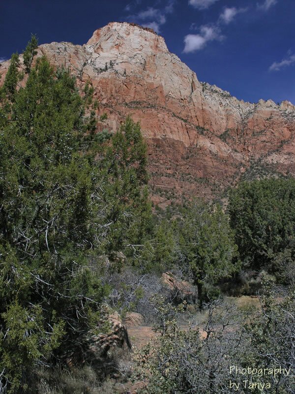Zion's Sand Bench photo