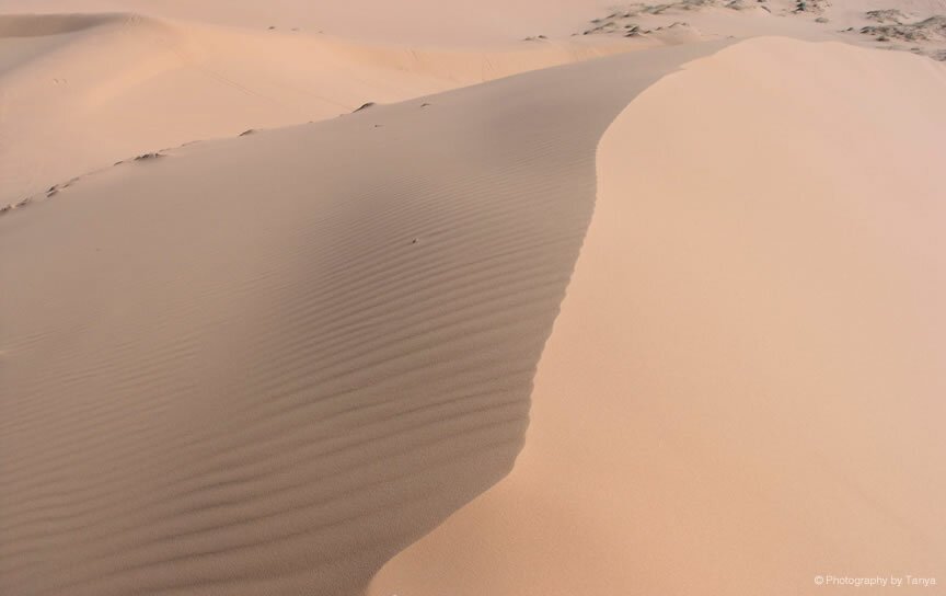 dunes photograph
