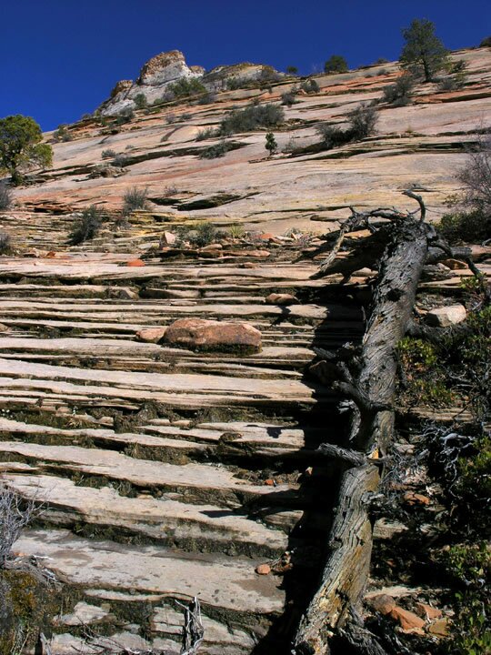 Tunnel Canyon Photo