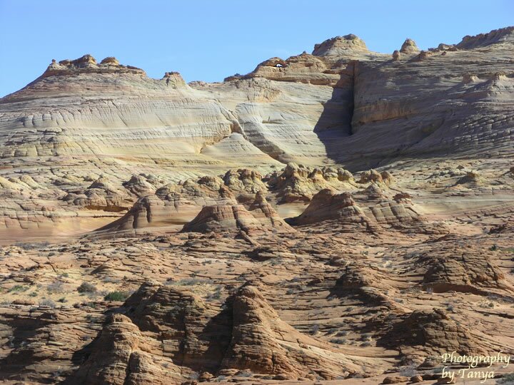 North Coyote Buttes - Wave Photo