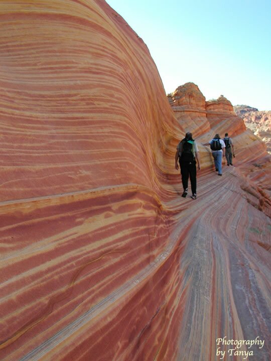 North Coyote Buttes - Wave Photo