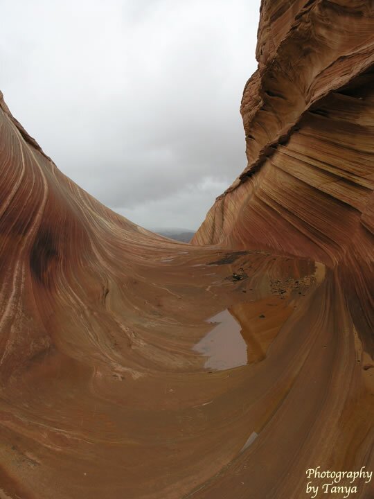 North Coyote Buttes - Wave Photo