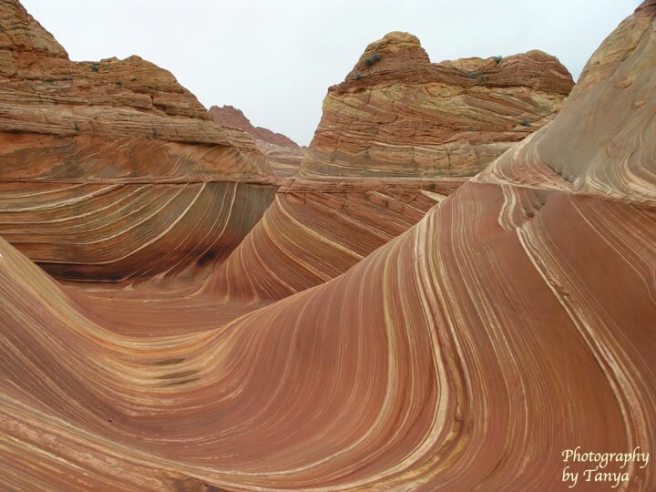 North Coyote Buttes - Wave Photo