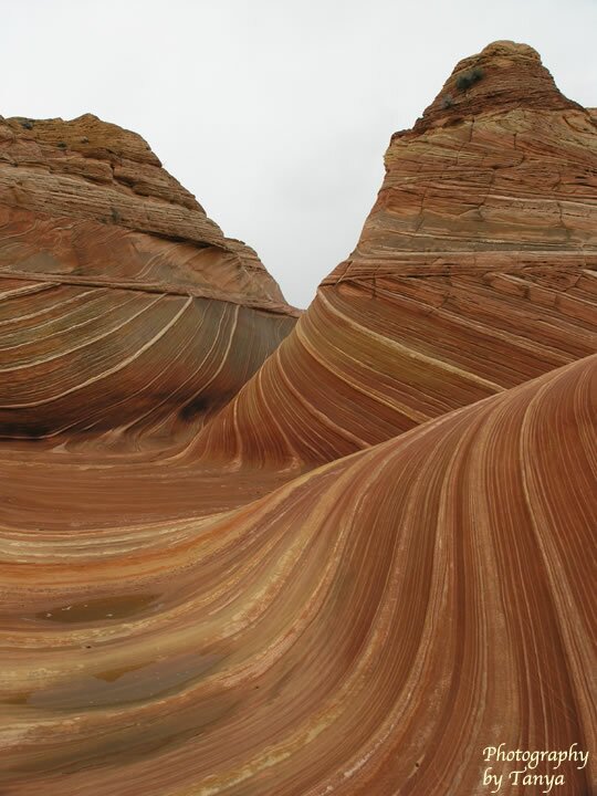 North Coyote Buttes - Wave Photo