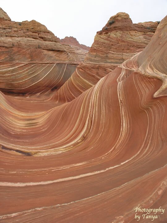 North Coyote Buttes - Wave Photo