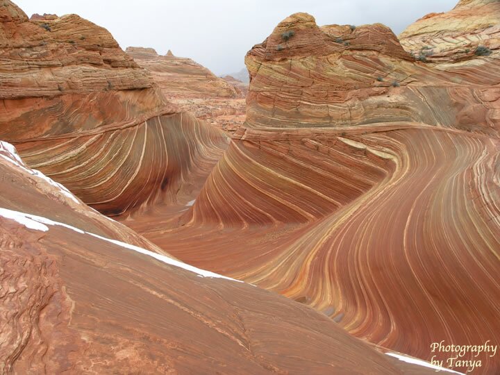 North Coyote Buttes - Wave Photo