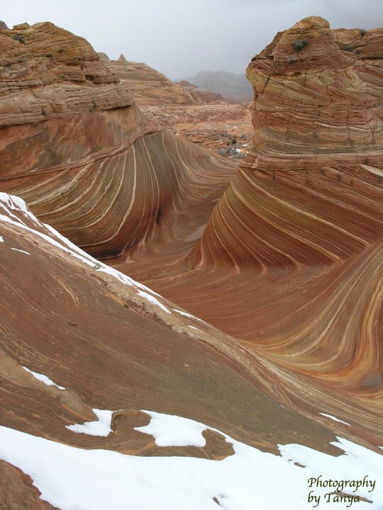 North Coyote Buttes - Wave Photo