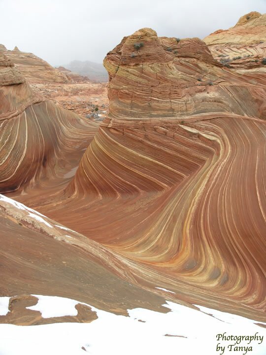 North Coyote Buttes - Wave Photo