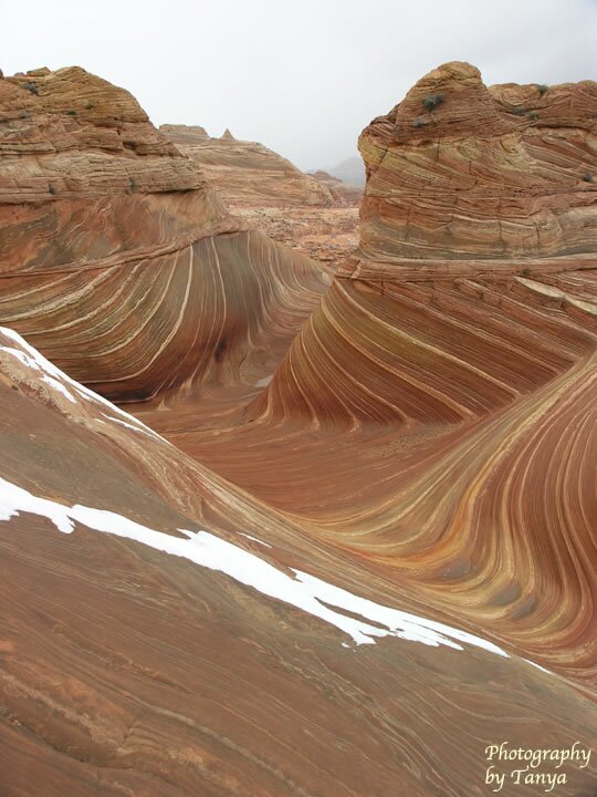 North Coyote Buttes - Wave Photo