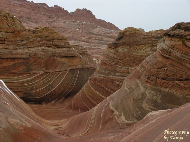 North Coyote Buttes - Wave Photo