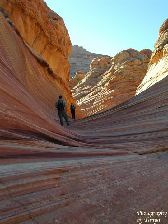 North Coyote Buttes - Wave Photo