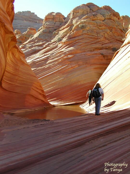 North Coyote Buttes - Wave Photo