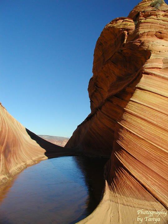 North Coyote Buttes - Wave Photo