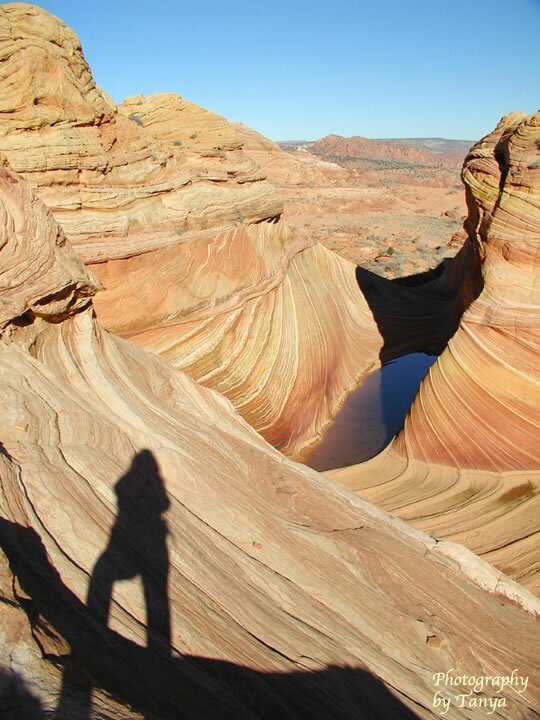 North Coyote Buttes - Wave Photo