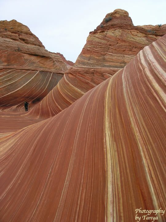 North Coyote Buttes - Wave Photo