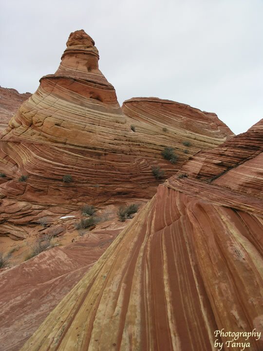 North Coyote Buttes - Wave Photo