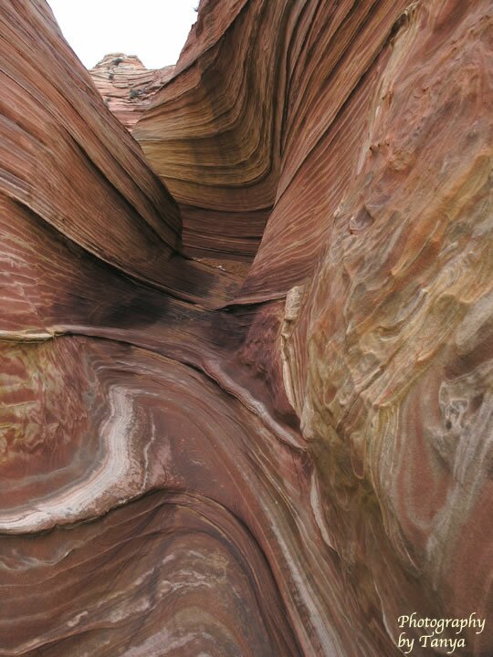 North Coyote Buttes - Wave Photo
