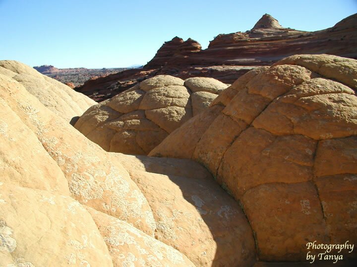 North Coyote Buttes - Wave Photo