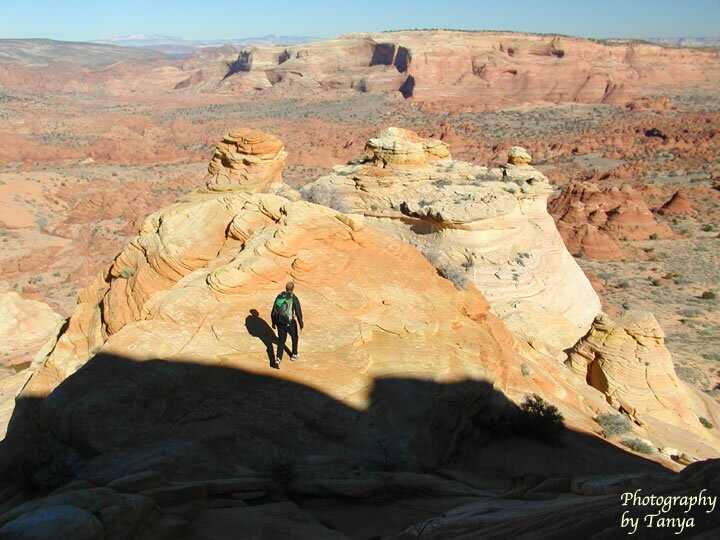 North Coyote Buttes - Wave Photo