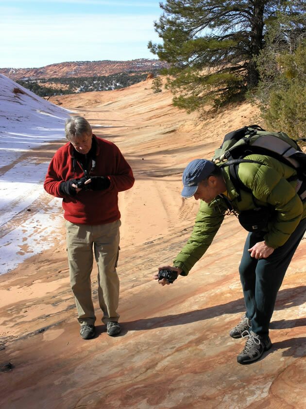 Dinosaur Tracks Photo