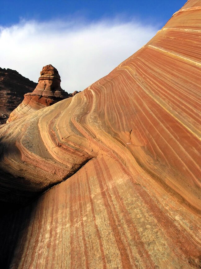 The Wave Photo