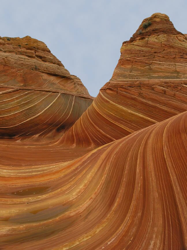 The Wave Photo