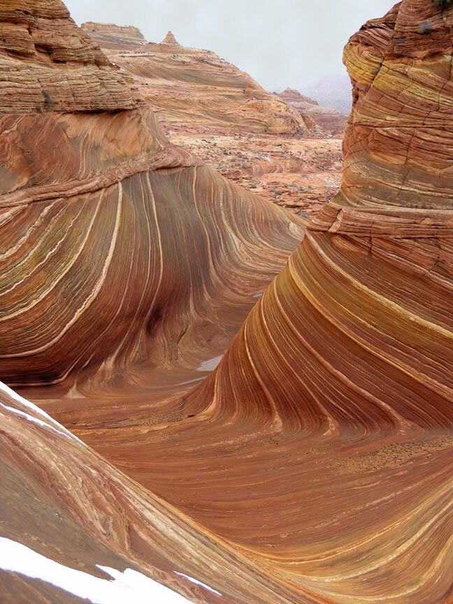 The Wave Photo