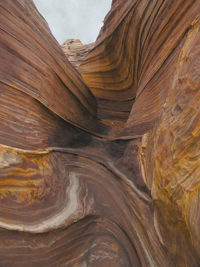 The Wave Photo