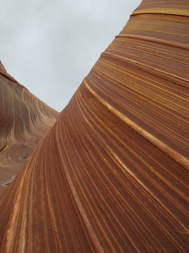 The Wave Photo